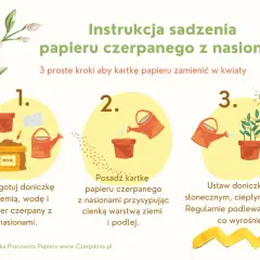 Instrukcja sadzenia papieru czerpanego z nasionami: przygotuj doniczkę, posadź papier i podlej, a potem ustaw w słonecznym miejscu.