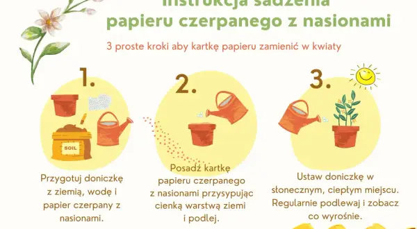 Instrukcja sadzenia papieru czerpanego z nasionami: przygotuj doniczkę, posadź papier i podlej, a potem ustaw w słonecznym miejscu.