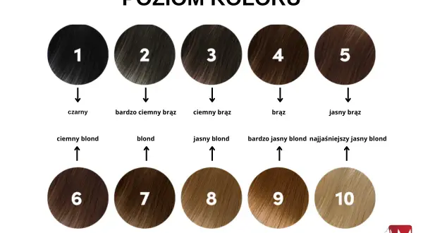 Paleta odcieni włosów od czarnego (1) do najjaśniejszego blondu (10). Różne pigmenty do farb pozwalają uzyskać każdy z tych kolorów.