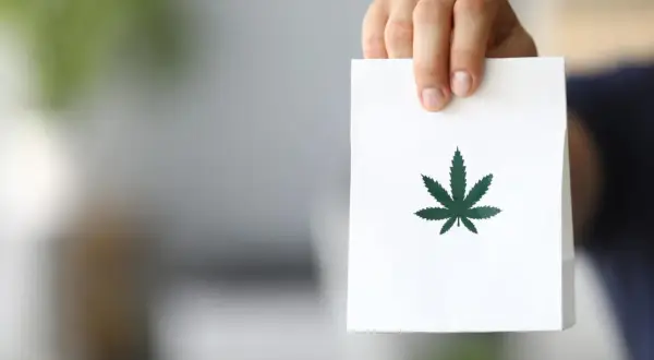 Dłoń trzyma białą torbę z zielonym liściem konopi. To może być opakowanie na papier konopny.
