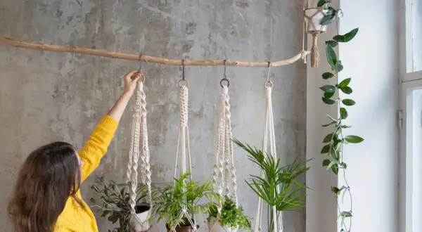 Kobieta w żółtym swetrze wiesza rośliny w makramowych kwietnikach DIY. Dekoracja ścienna z naturalnych materiałów.