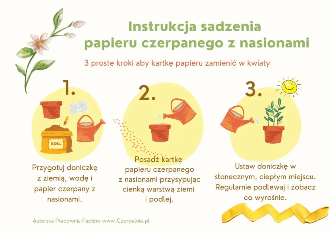 Instrukcja sadzenia papieru czerpanego z nasionami: przygotuj doniczkę, posadź papier i podlej, a potem ustaw w słonecznym miejscu.