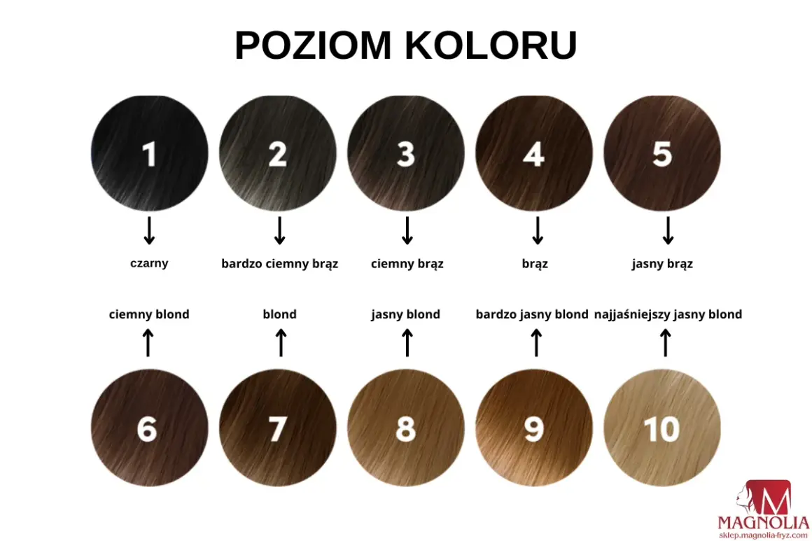 Paleta odcieni włosów od czarnego (1) do najjaśniejszego blondu (10). Różne pigmenty do farb pozwalają uzyskać każdy z tych kolorów.