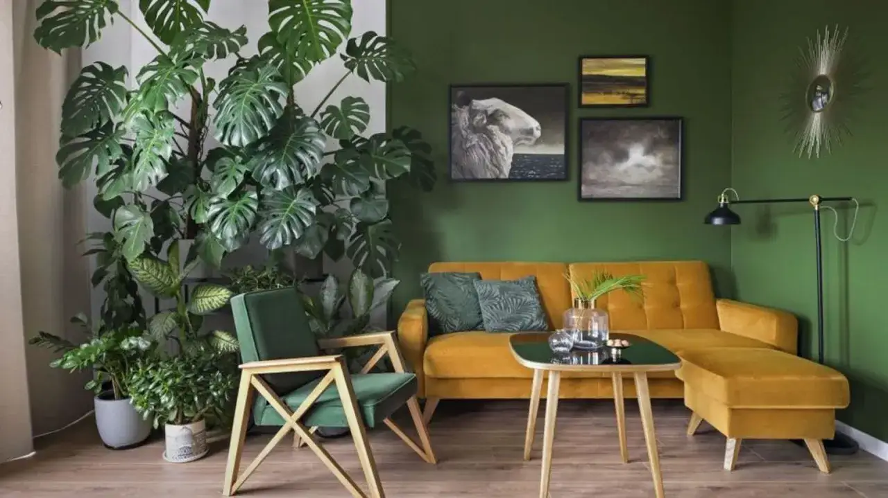 Salon z kanapą w kolorze musztardowym i fotelami w odcieniu midnight green. Ściany pomalowane na głęboki, zielony kolor.