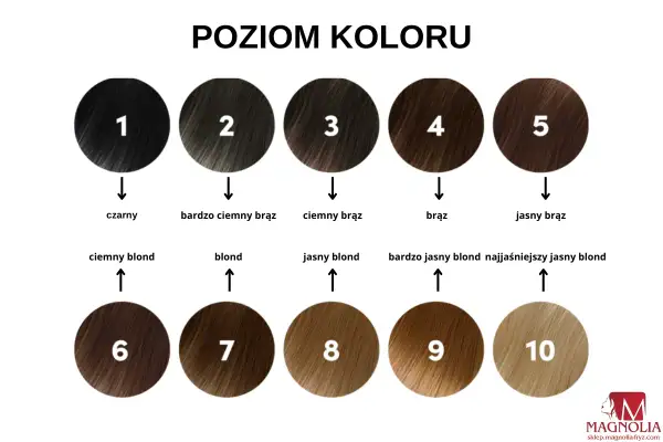 Paleta odcieni włosów od czarnego (1) do najjaśniejszego blondu (10). Różne pigmenty do farb pozwalają uzyskać każdy z tych kolorów.